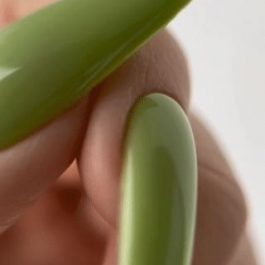 SIDE<br>TINT Base 01