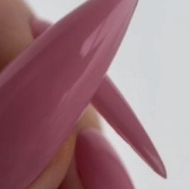 SIDE<br>TINT Base 17