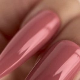 SIDE<br>TINT Base 26