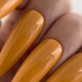 SIDE<br>TINT Base 29